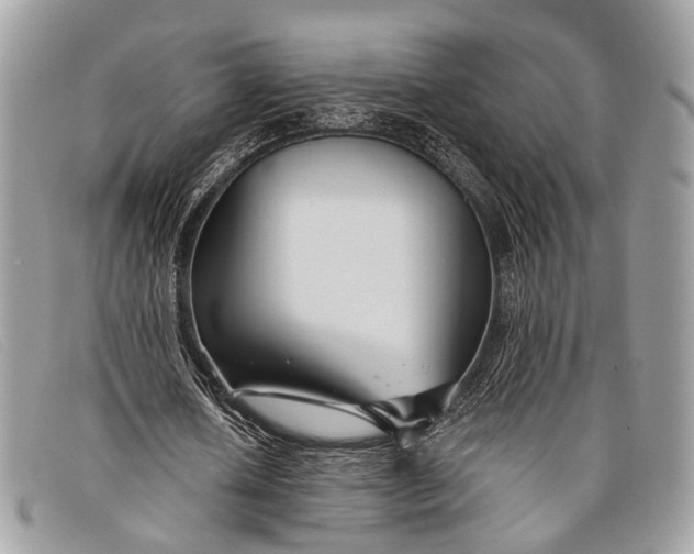 X0000098030626200804111323