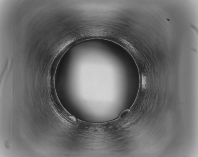 X0000098030627200804111323