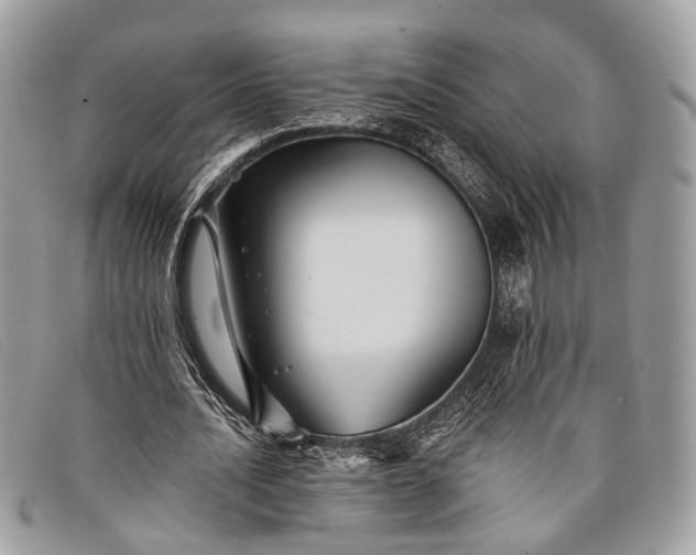 X0000098030628200804111323