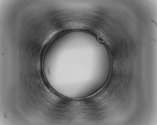 X0000098030629200804111323