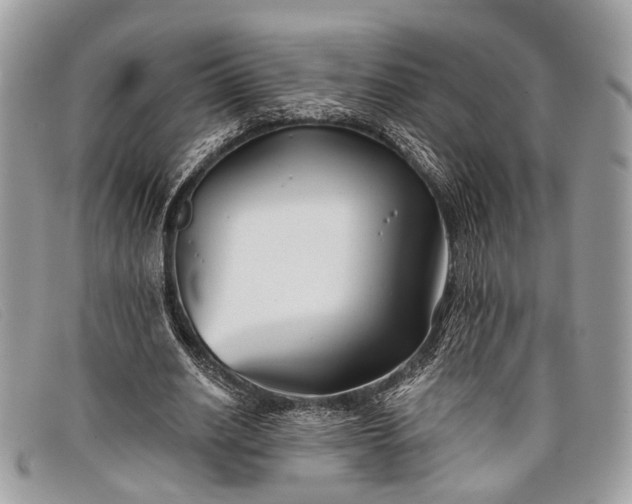 X0000098030630200804111323