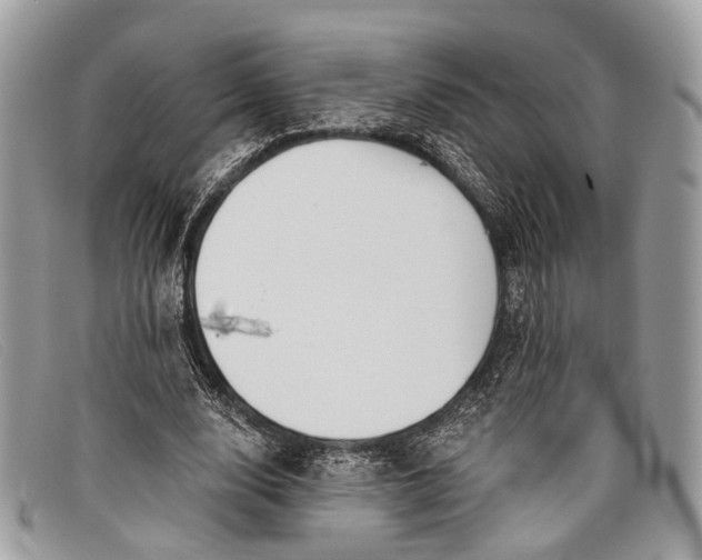 X0000098030632200804111323