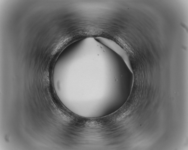 X0000098030634200804111323