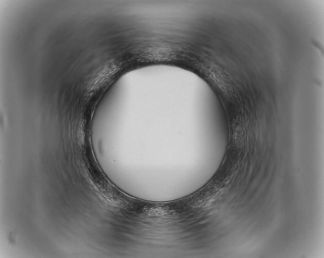 X0000098030635200804111323