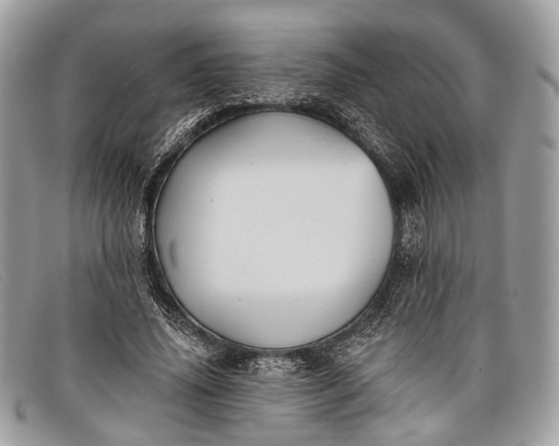 X0000098030636200804111323