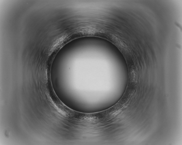 X0000098030638200804111323