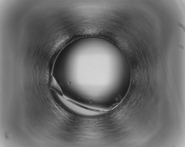 X0000098030640200804111323