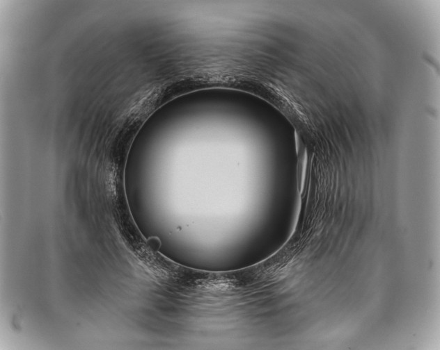 X0000098030643200804111323