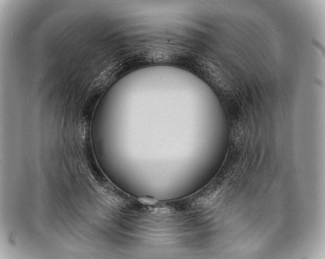 X0000098030645200804111323