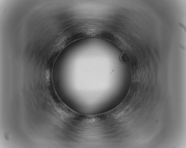 X0000098030646200804111323