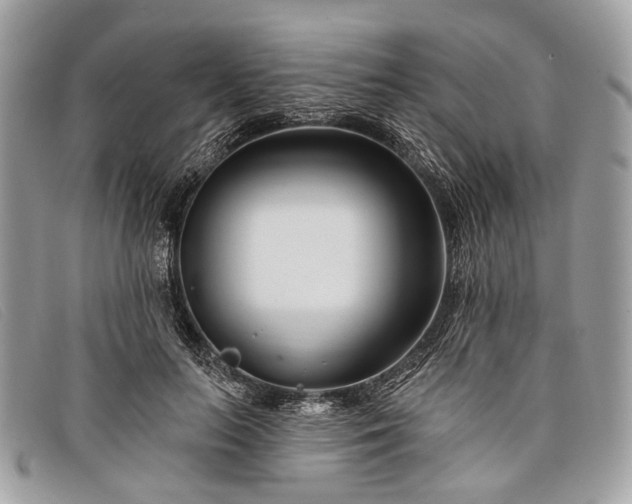 X0000098030647200804111323