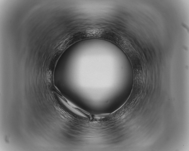 X0000098030649200804111323