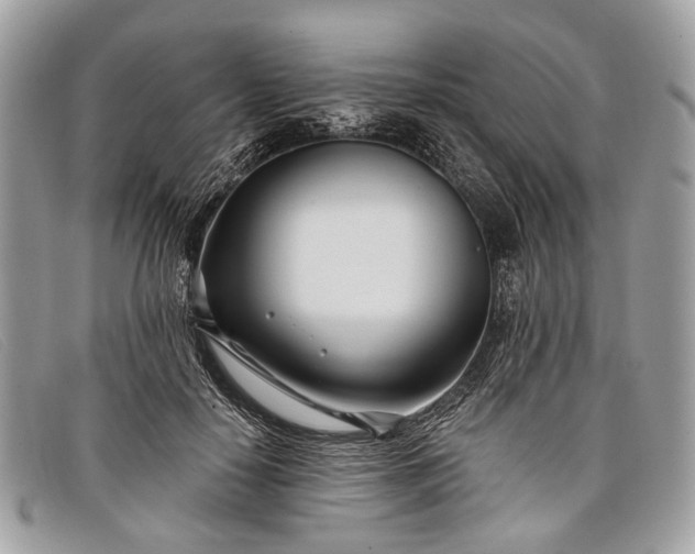 X0000098030650200804111323