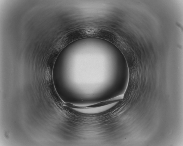 X0000098030651200804111323