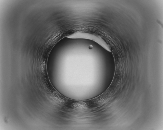 X0000098030652200804111323