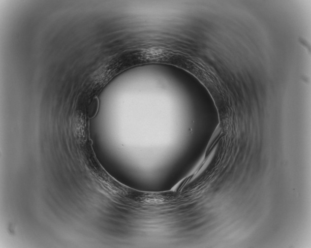 X0000098030653200804111323