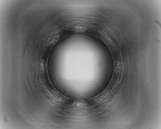 X0000098030655200804111323