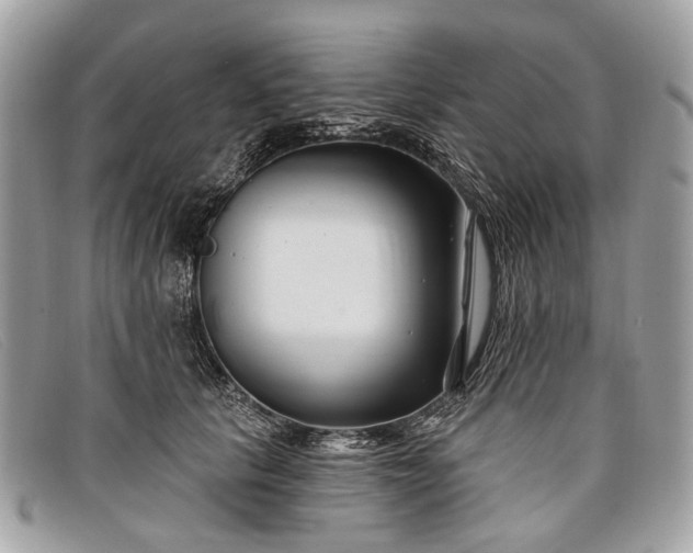 X0000098030657200804111323