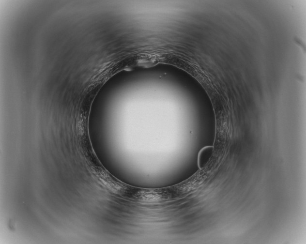 X0000098030658200804111323