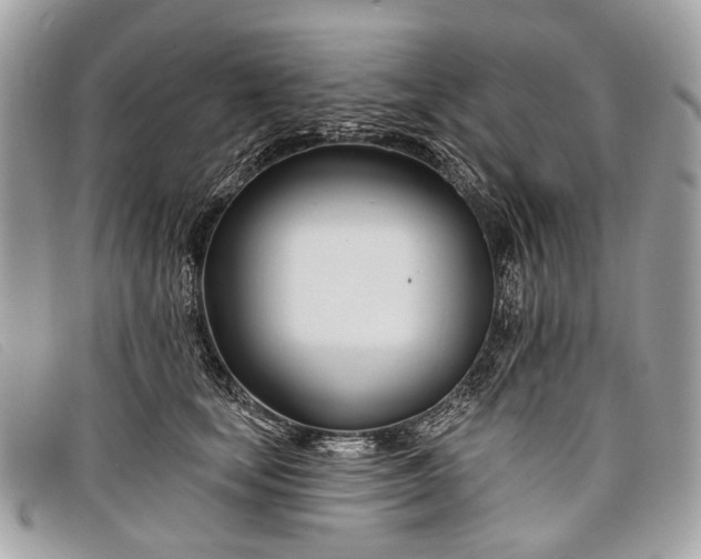 X0000098030659200804111323