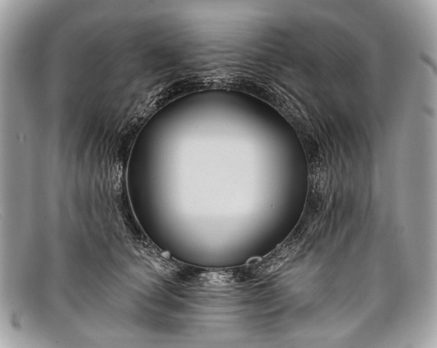 X0000098030660200804111323