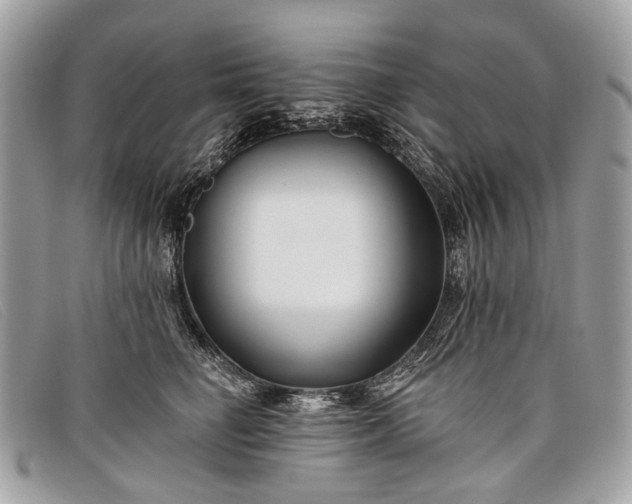 X0000098030662200804111323