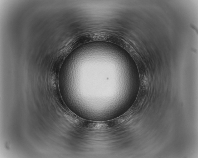 X0000098030663200804111323