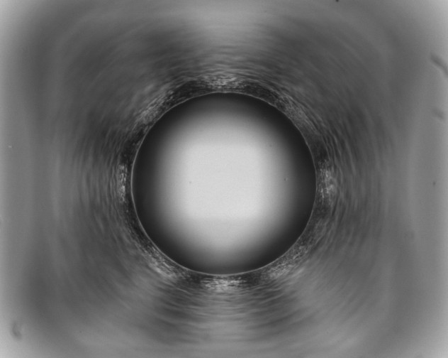 X0000098030664200804111323