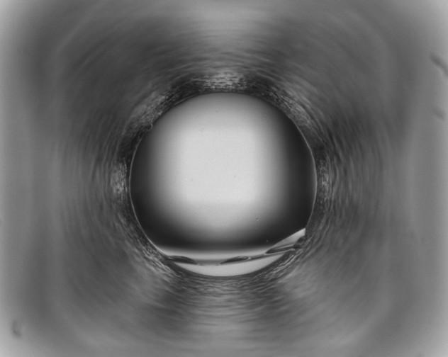 X0000098030665200804111323