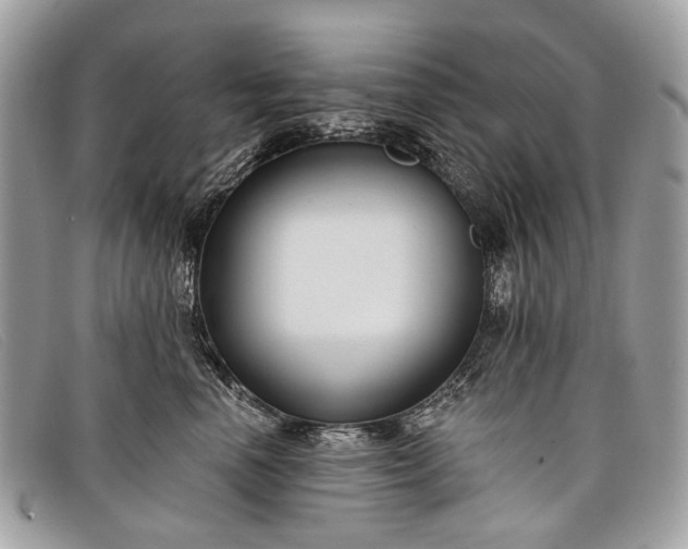 X0000098030666200804111323