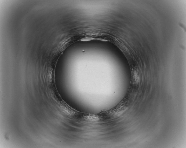 X0000098030668200804111323