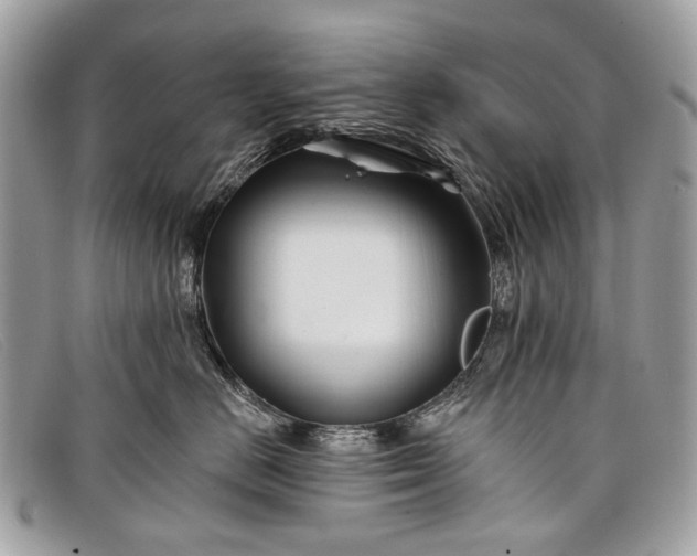 X0000098030670200804111323