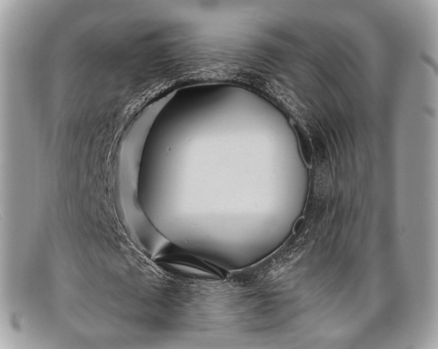 X0000098030673200804111323