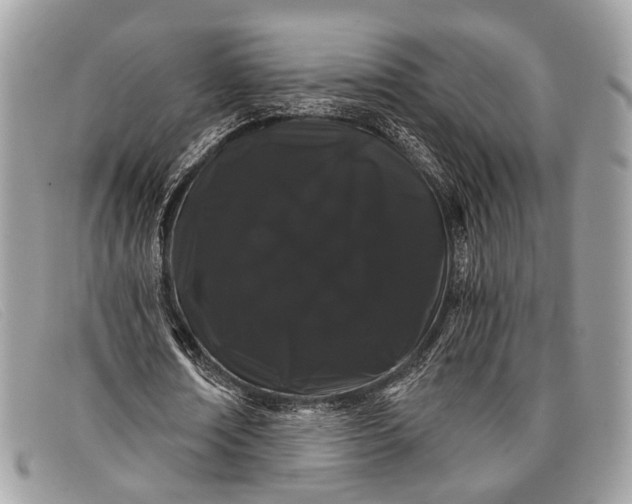 X0000098030674200804111323