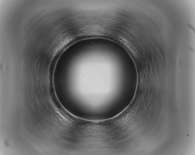 X0000098030677200804111323