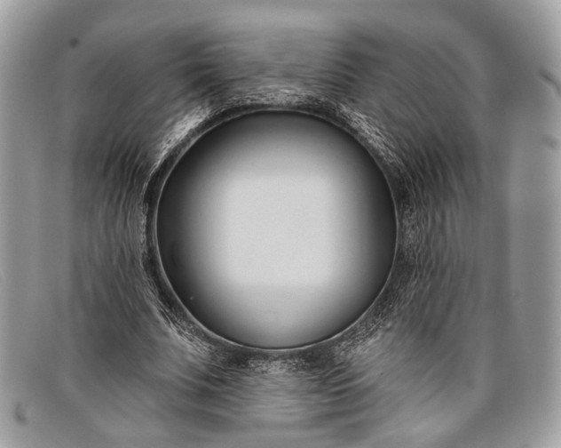 X0000098030679200804111323