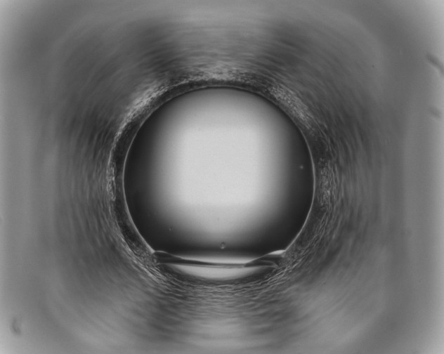 X0000098030680200804111323