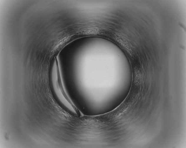 X0000098030681200804111323