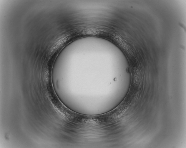 X0000098030683200804111323