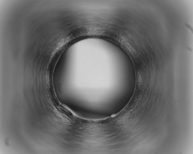 X0000098030684200804111323