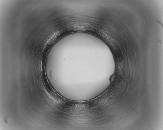 X0000098030686200804111322