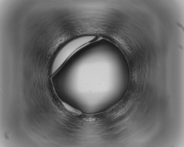 X0000098030687200804111322