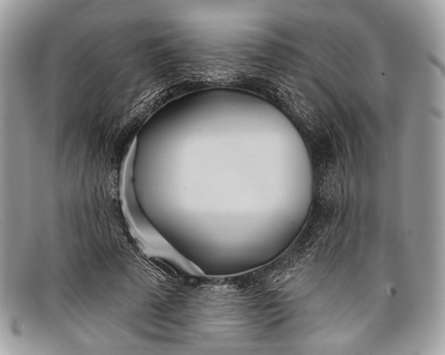 X0000098030689200804111322