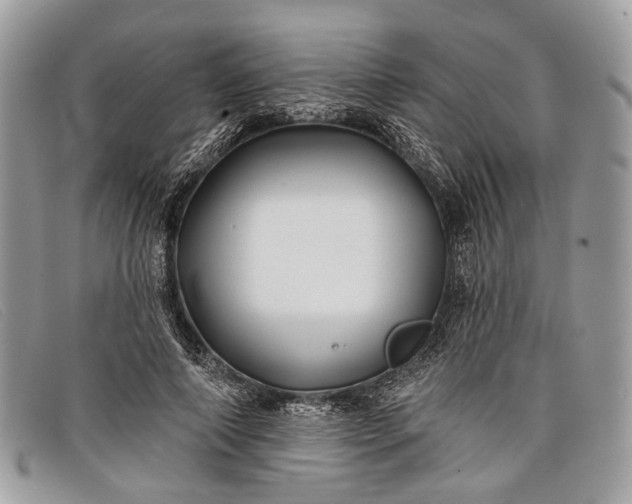 X0000098030690200804111322