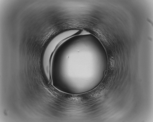 X0000098030691200804111322