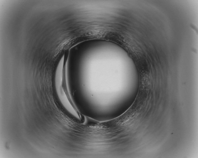 X0000098030693200804111322