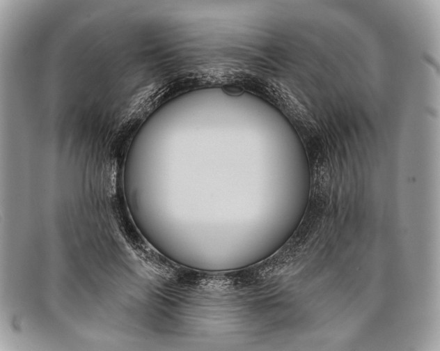 X0000098030694200804111322