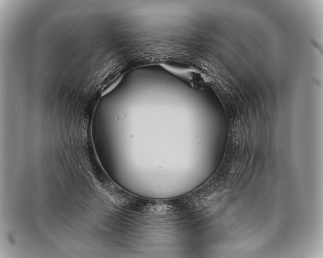 X0000098030695200804111322