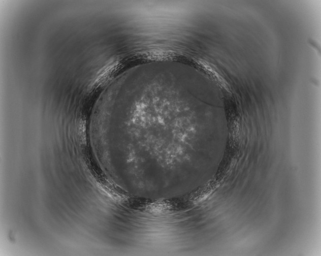 X0000098030696200804111322