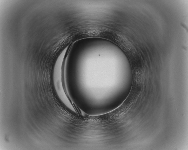 X0000098030697200804111322